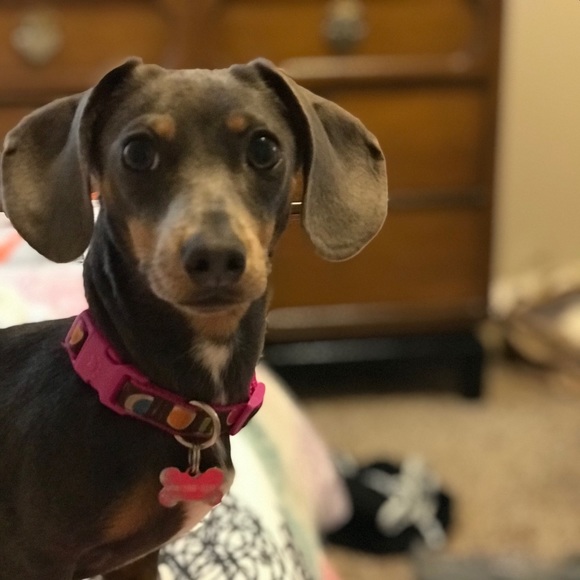 Nothing - Picture 8 of 8